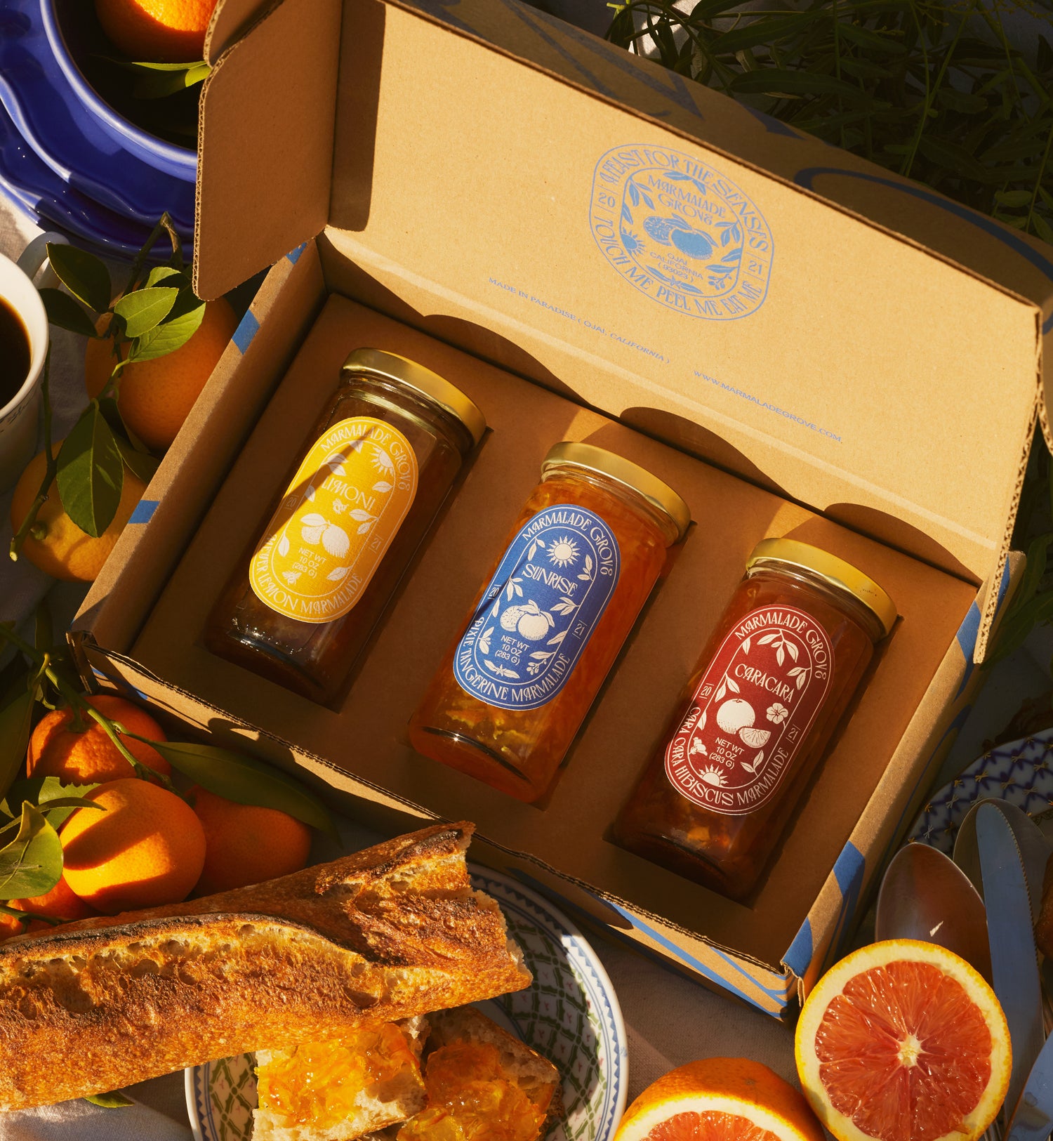 Set of TWO Swedish Dishcloths Fall Harvest Pumpkins & Gourds – Marmalade  Mercantile