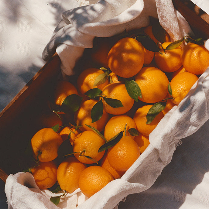 Ruby Valencia & Apricot Fruit Spread