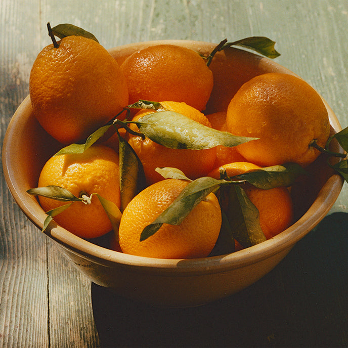 Ruby Valencia & Apricot Fruit Spread