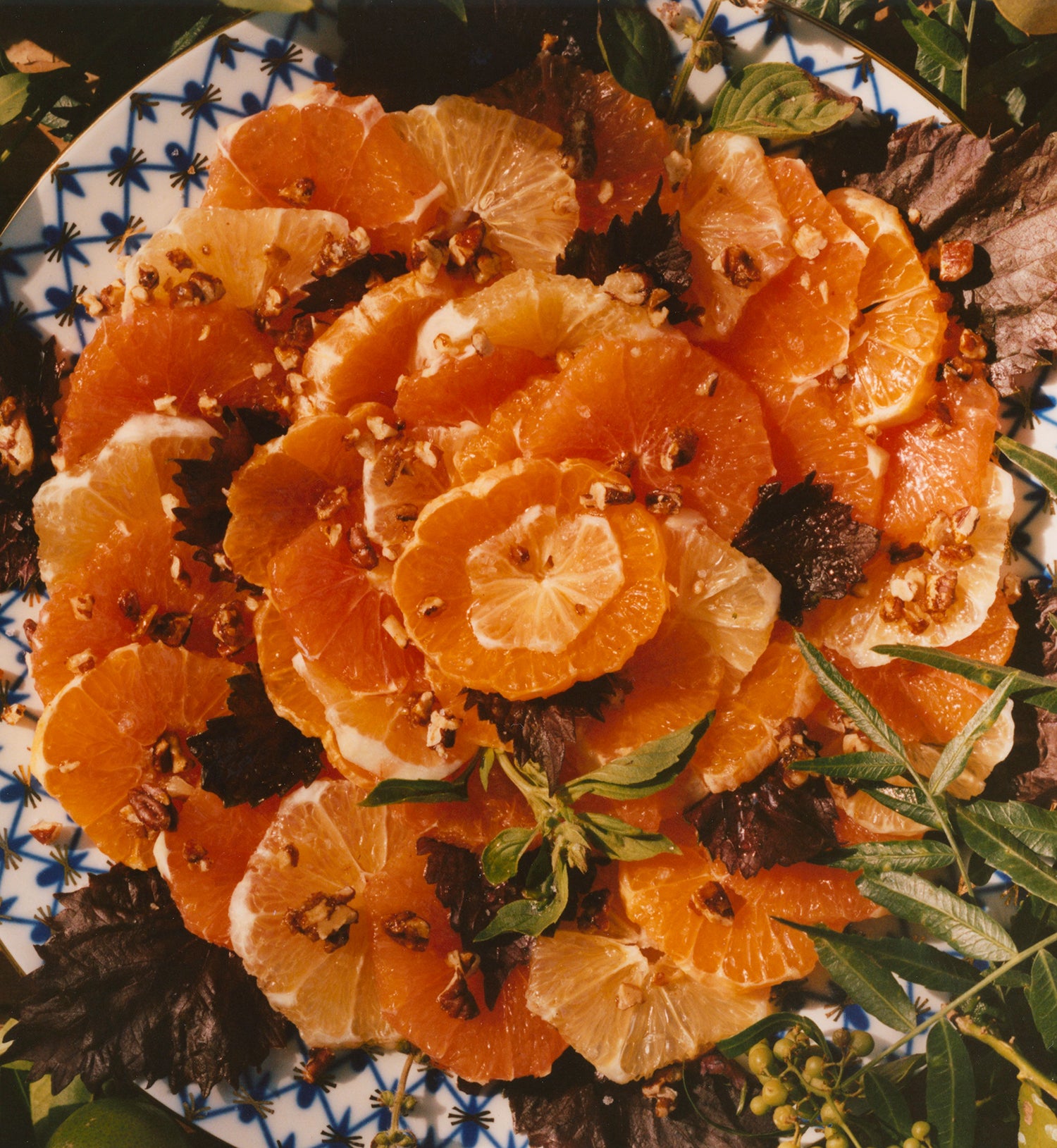 Valencia Orange Carpaccio – Marmalade Grove Valencia Orange Carpaccio – Marmalade Grove