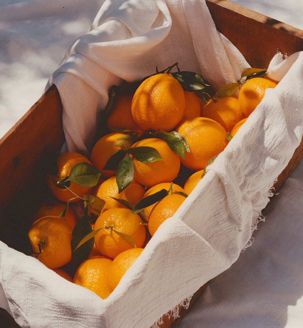 Citrus Club – Marmalade Grove