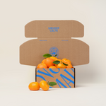 Grove Club Box