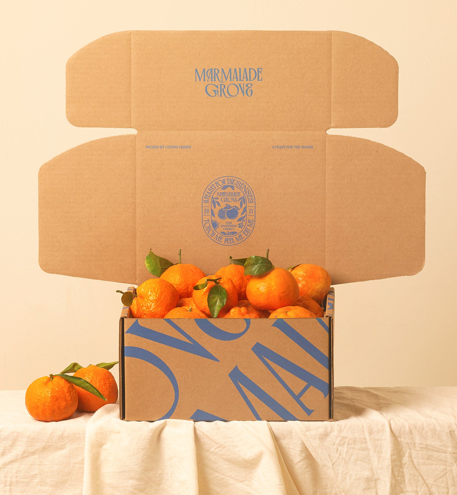 超美品 Golden Nugget Orange ゴールデンナゲット オレンジ Golden Nugget Tangerines – Marmalade Grove