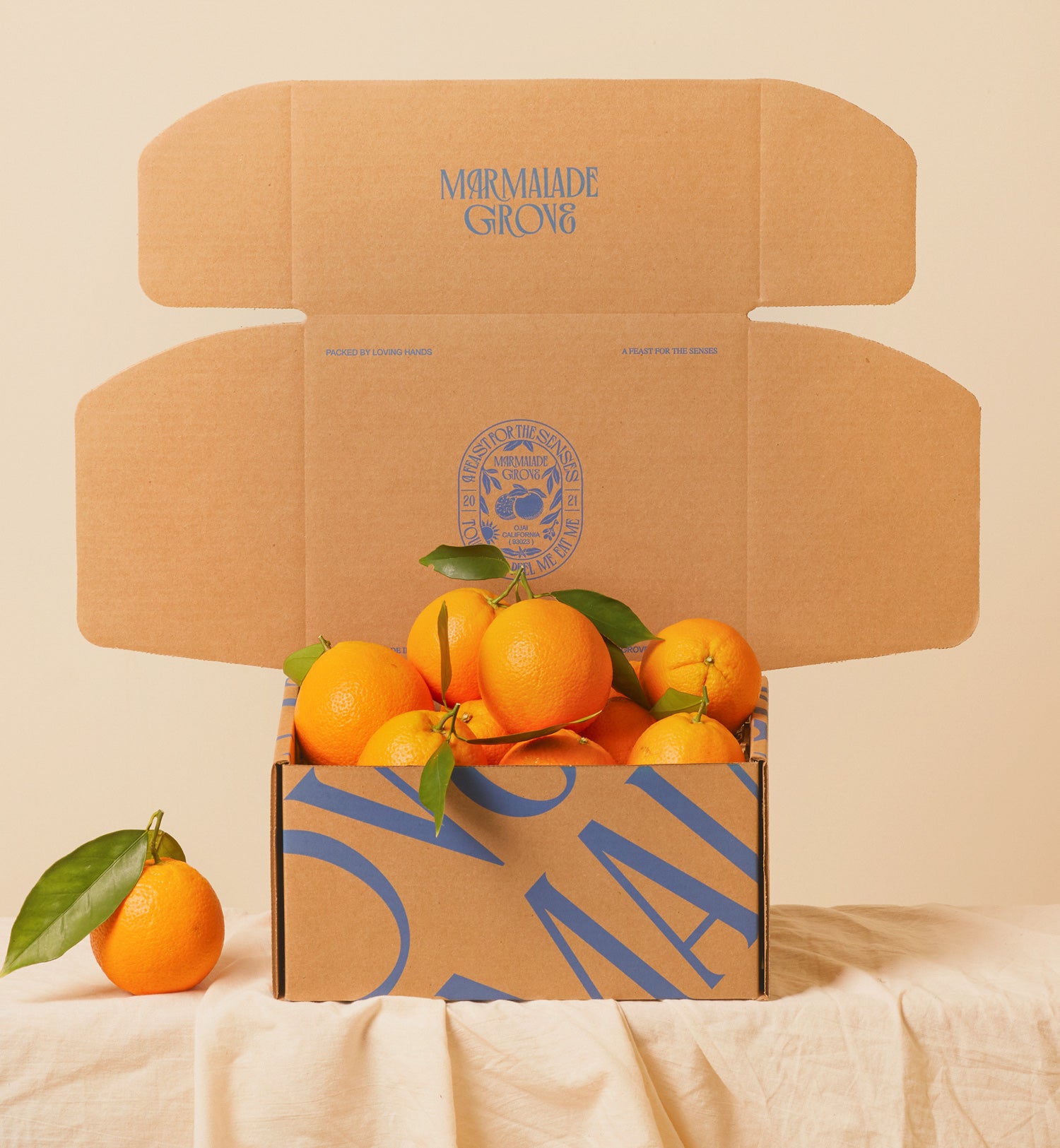 Valencia Oranges – Marmalade Grove
