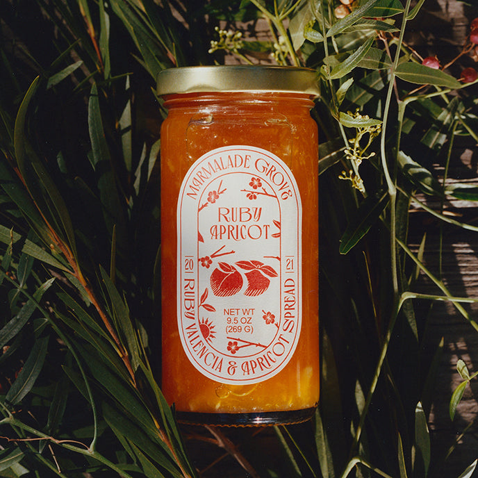 Ruby Valencia Apricot Fruit Spread – Marmalade Grove