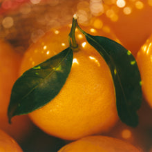 Load image into Gallery viewer, Pixie Tangerine Marmalade
