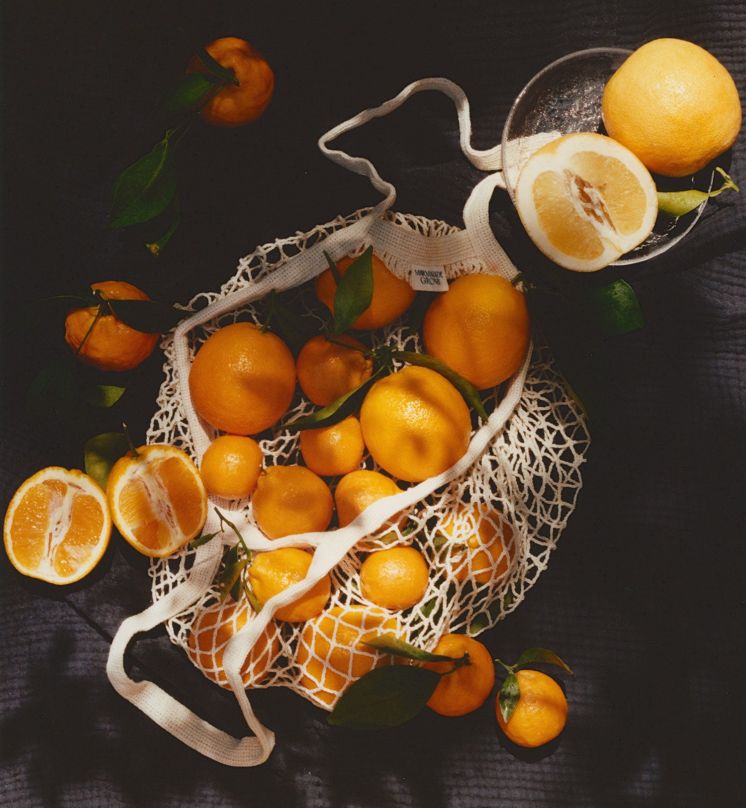   CITRUS GROVE 6枚セット 約27cm Citrus Supply Club Six-pack Mixed Oranges and Grapefruit