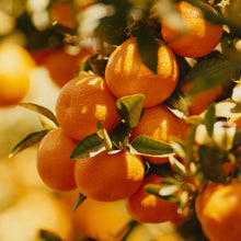 Load image into Gallery viewer, Raspberry &amp; Tango Tangerine Fruit Spread
