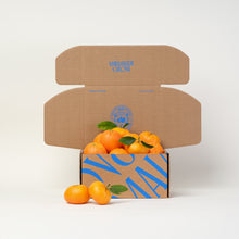 Load image into Gallery viewer, Seasonal Citrus Box
