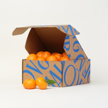 Load image into Gallery viewer, Seasonal Citrus Box
