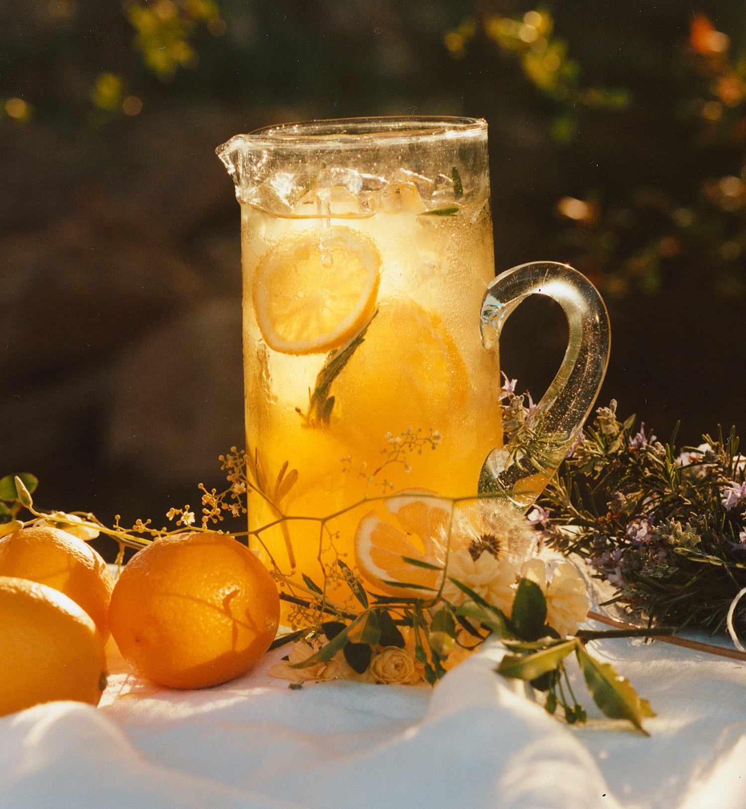 Cara Cara, Myer Lemon & Rosemary Lemonade – Marmalade Grove