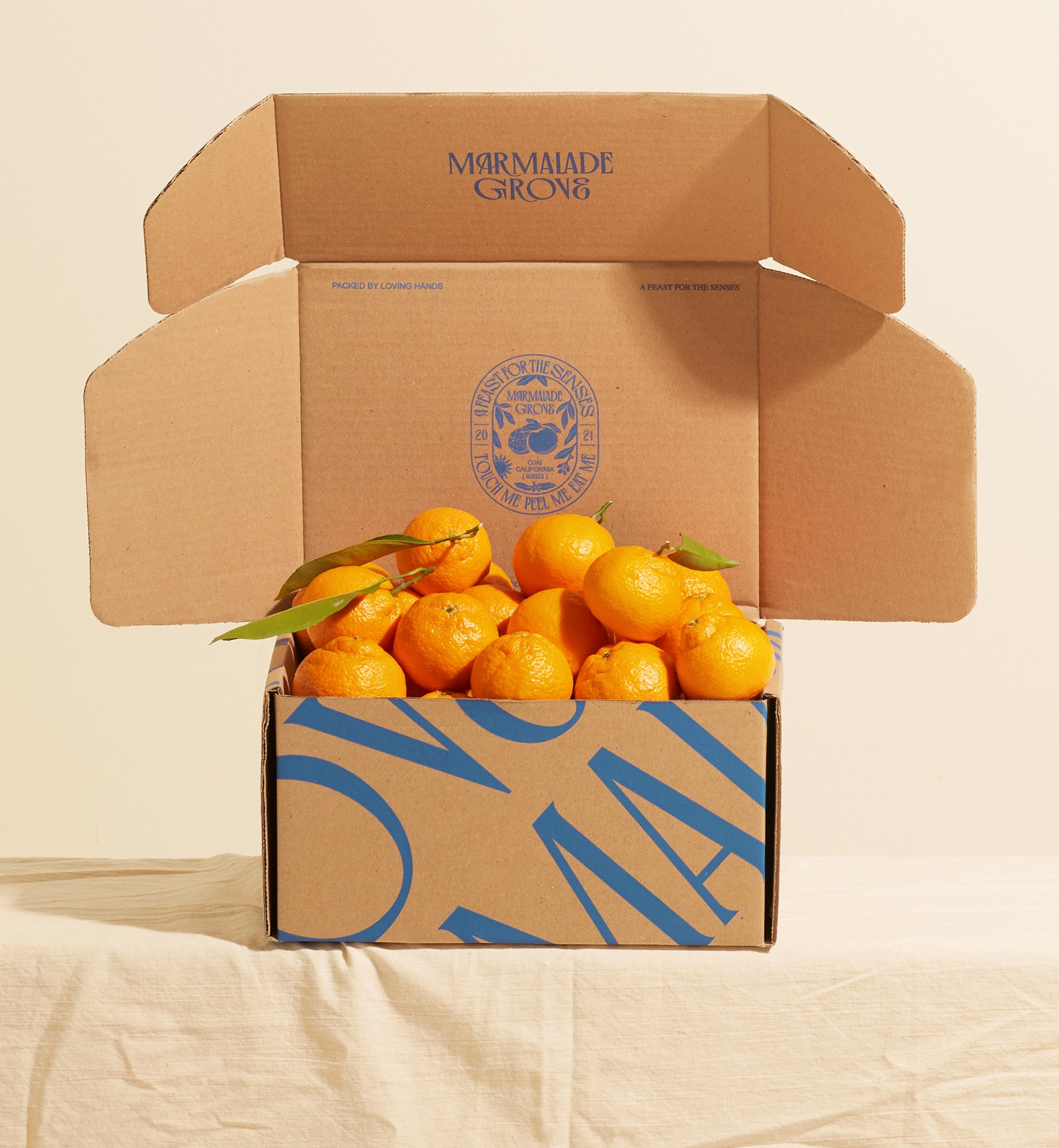Satsuma Mandarins – Marmalade Grove