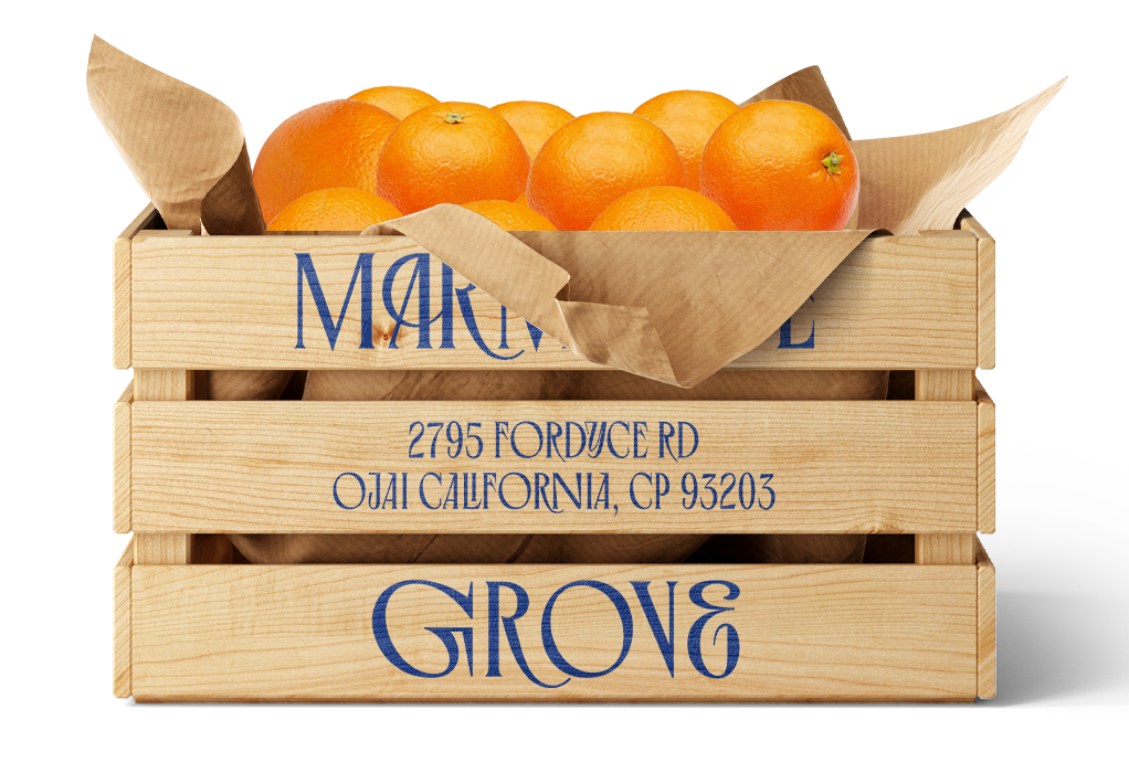 Cara Cara Oranges - 20LB Wholesale Box