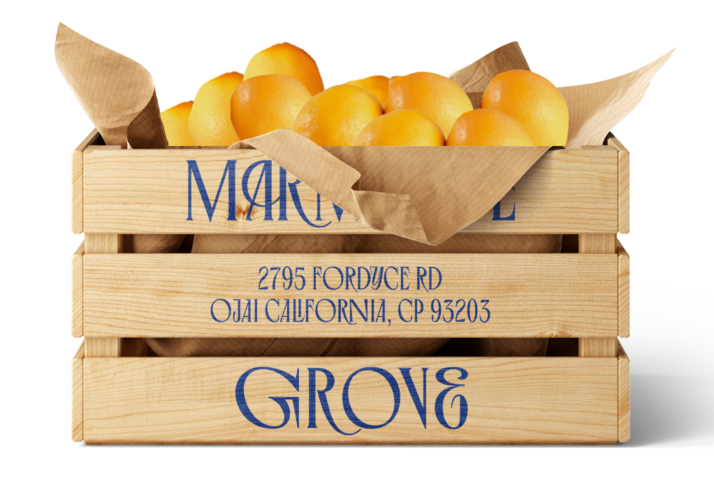 Meyer Lemon - 20LB Wholesale Box