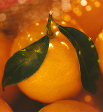 Load image into Gallery viewer, Pixie Tangerines - 25LB Wholesale Box
