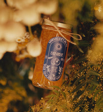 Load image into Gallery viewer, Pixie Tangerine Marmalade - 10oz Wholesale Box
