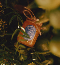 Load image into Gallery viewer, Pixie Tangerine Marmalade - 5oz Wholesale Box
