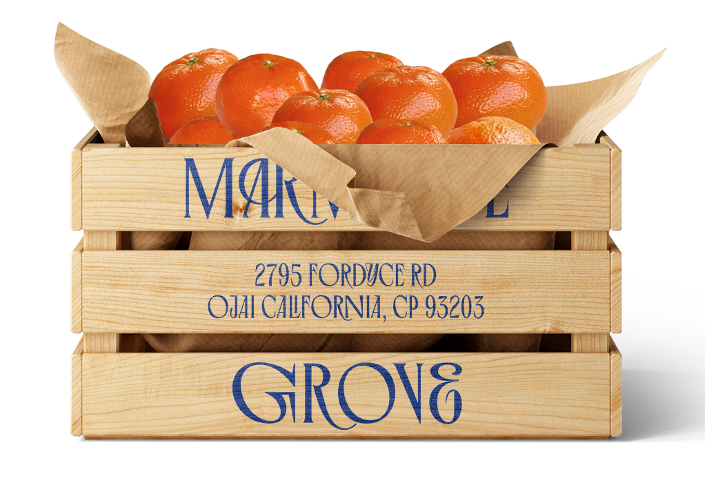 Tango Tangerines - 25LB Wholesale Box